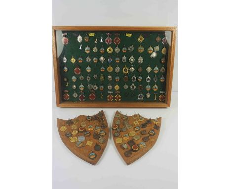 Large Collection of Dance Medals, To include Enamel examples, Enclosed in a Display case and raised on Oak plinths, Approxima