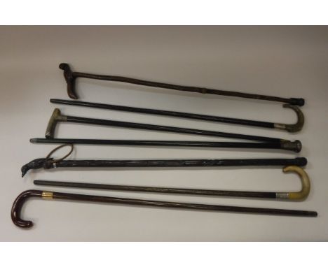 A collection of nine various walking canes including rosewood example with gold ferule, four horn/antler handled walking stic