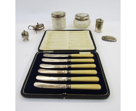 Set of six cased George V silver bladed butter knives, Sheffield 1921, Frank Cobb &amp; Co, together with two silver pepperet