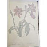 Sitwell, Sacheverell and Maydol, Roger "Album De Redoute with 25 facsimile colour plates from the