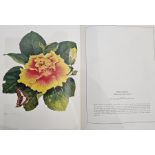 Longhurst, Peter "Hibiscus", Lansdown Editions 1978, vol 1 limited to 350 copies, this being 265