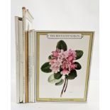 Urquhart, Beryl Leslie "The Camellia", with three reproductions from paintings by Raymond Boothe and