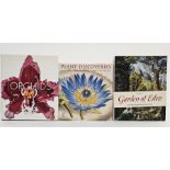 Lack, H Walter "Garden of Eden -  Masterpieces of Botanical Illustration", Taschen 2008, colour
