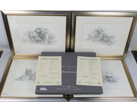 David Shepherd - A Soloman &amp; Whitehead portfolio of four limited edition prints of pencil drawings, elephants, cheetahs, 