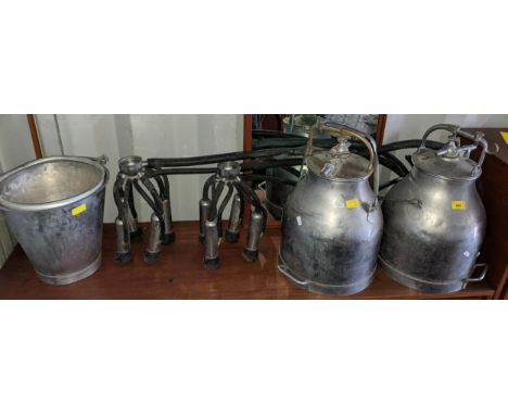 Two vintage galvanized milk buckets together with two cow milking clusters and a can with strainerLocation: RCon If there is 