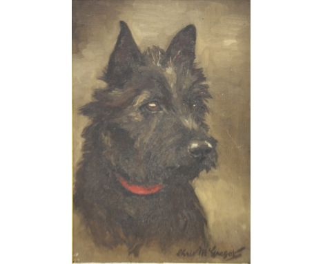 CHRIS McGREGOR (XIX-XX). Scottish school, portrait study of a black Scottie dog, signed lower right, oil on canvas, framed, 3