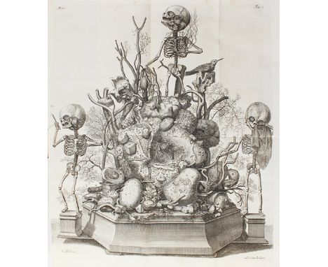 Ruysch,F.: Thesaurus Anatomicus primus (-decimus, alles Erschienene). 10 Tle. in 1 Bd. Amsterdam, Janssonius-Waesberge 1722-3