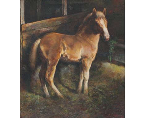 Aichele, Erwin: (1887 Höhefeld/Baden - Pforzheim-Eutingen 1974). Fohlen im Stall. Öl auf Lwd. 1942. Ca. 38 x 43 cm. Unten rec