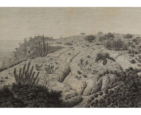 Kittlitz,F.H.v.: Vierundzwanzig Vegetations-Ansichten von Küstenländern und Inseln des stillen Oceans, aufgenommen in den Jah