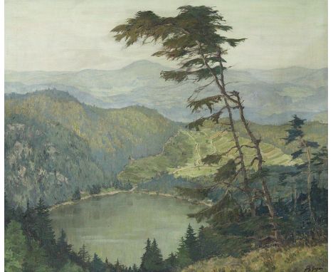 Geyer, Fritz: (1875 Nürnberg - Tübingen 1947). Blick über die Schwarzwaldhöhen und den Feldsee. Öl auf Leinwand. 68,5 x 81,2 
