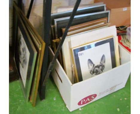 Jon Caldecourt - various framed and unframed prints and drawings, animals mostly dogs