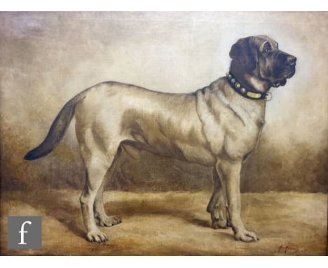 A. MASSON ( LATE 19TH CENTURY) - A portrait of a mastiff dog, oil on canvas, signed, framed, 64cm x 84cm, frame size 84cm x 9
