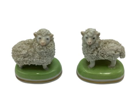 A pair of Dresden ceramic sheep. Numbered to base. 5cm x 5cm. 