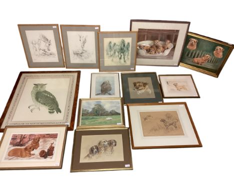 A quantity of framed and glazed pictures, prints, paintings and drawings, of dog and hound and horse interest, and owl, to in