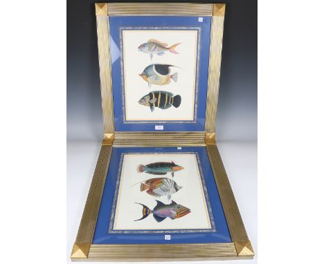 A pair of modern colour prints depicting fish, mounted within marbled mounts and gilt frames, 62cm x 54cm.Buyer’s Premium 29.