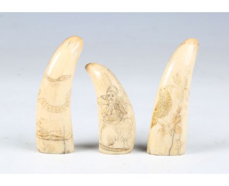 A group of three 19th century Scrimshaw whale's teeth, the first decorated with a snake and a rat, height 10cm, the second wi