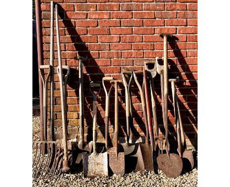 A collection of various garden and other tools