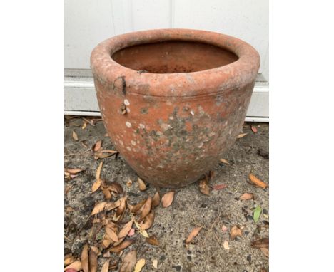 Terracotta Planter 