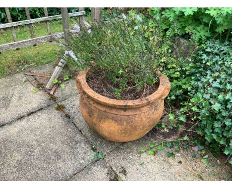 Large Terracotta Planter 