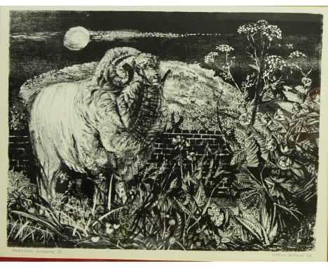 'Spanish Merino II', lithograph signed, titled and dated '56 by Colin Gard Allen (British 1926-1987) 34cm x 44cm Condition Re