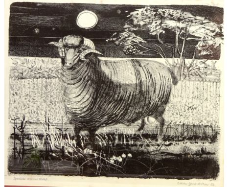 'Spanish Merino Sheep', lithograph signed, titled and dated '56 by Colin Gard Allen (British 1926-1987) 34cm x 44cm Condition