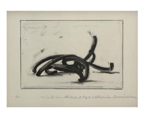Bernar Venet signed print (offset lithograph) - titled and dated 2004 || VENET BERNAR (° 1941) print (offset litho) n° 12/40 