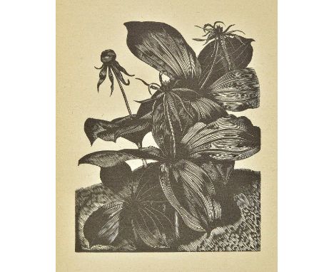 Nash (John). Poisonous Plants, Deadly, Dangerous and Suspect, engraved on wood and with an introduction by John Nash, with br