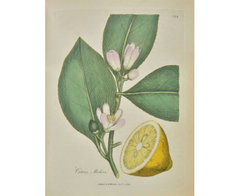 Woodville (William). Medical Botany, Containing Systematic and General Descriptions, with Plates, of all the Medicinal Plants