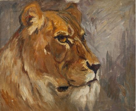 Elsa Sturm-Lindner, Löwenkopfimposanter Kopf eines in die Ferne blickenden Löwen, teils pastose Tiermalerei, Öl auf Leinwand,