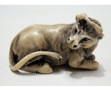 Japanese ivory Meiji period netsuke in the form of a reclining buffalo, signed to the base, width 4.5cm