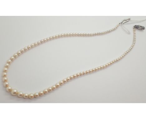 Vintage single strand of graduated pearls having a silver clasp L: 44 cm