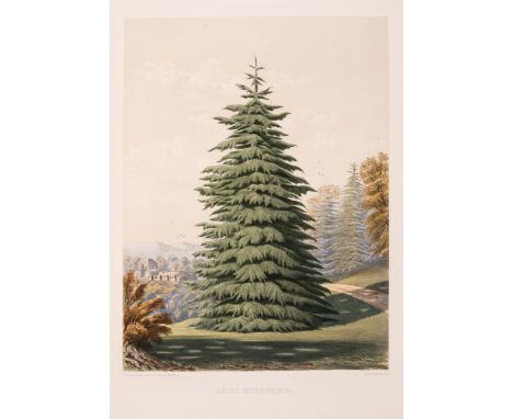Trees.- Ravenscroft (Edward) Pinetum Britannicum, 3 vol., first edition, titles to vol.1 & 2 and table of contents in vol.1 a