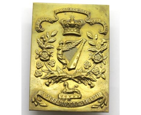 Victorian type Irish brass belt plate. P&amp;P Group 1 (£14+VAT for the first lot and £1+VAT for subsequent lots) 