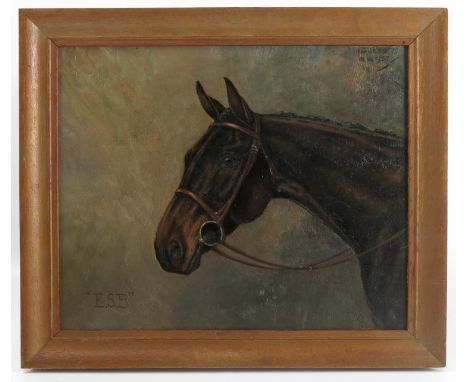 L W Lucas, oil on canvas, E.S.B portrait of the bay racehorse, dated 1957, 9.5ins x 11.5ins, together with a framed photograp