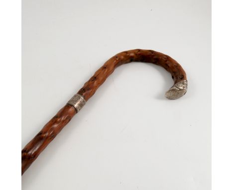 A Jersey dried cabbage stalk walking stick, with textured finish, with silver ferrule and end, Chester 1899