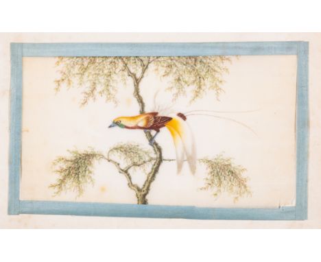 China.- Chinese Export School Album of 6 pith paper watercolours, including 3 studies of birds, and 3 studies of ships,&nbsp;