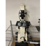 Nikon Microscope