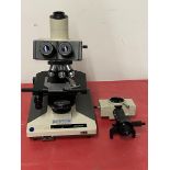 Olympus Microscope