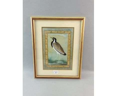 GICLEE PRINT depicting an Indian Lapwing 30cm x 20cm Mounted, framed and under glass