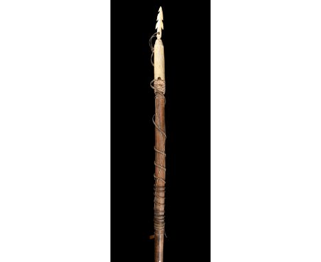 λAn Inuit walrus hunting harpoon Alaska cedar, marine ivory, sinew and fibre, with a bound head and detachable barbed tip, th