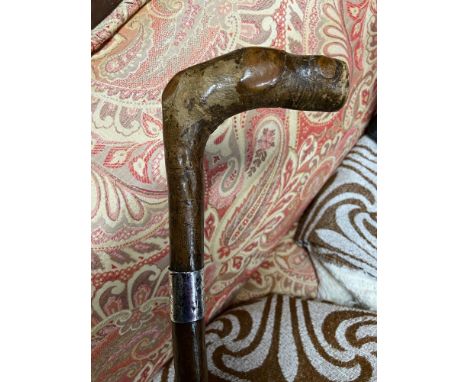 A Vintage walking stick designed with a silver collar. 