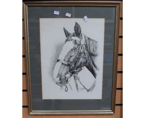 Pencil sketch of a horse's head, signed R F Wyatt 1982, 45 x 35cm, framed and glazed