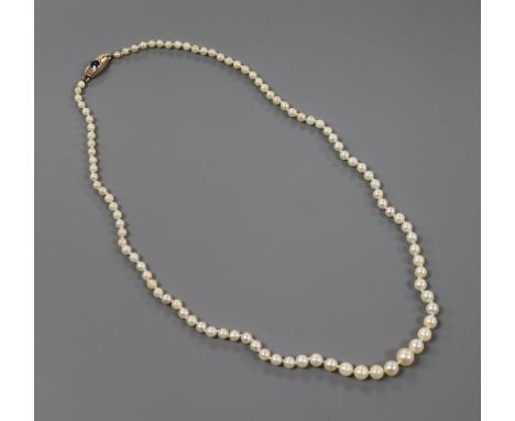 A single strand graduated cultured pearl necklace, with sapphire set yellow metal clasp, 48cm.