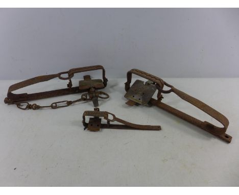 THREE VINTAGE ANIMAL GIN TRAPS, LENGTHS FROM 18CM - 31CM 