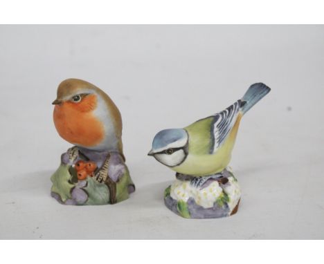 TWO ROYAL WORCESTER CHINA BIRDS TO INCLUDE A ROBIN AND A BLUE TIT 