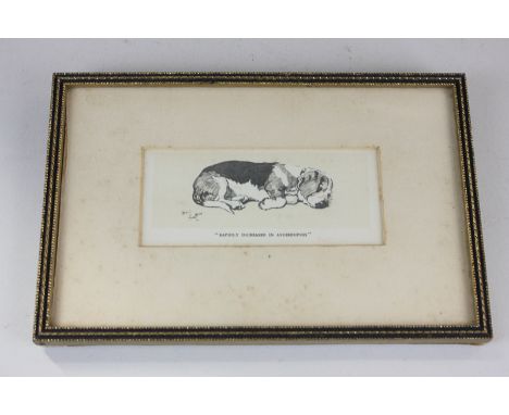 After Cecil Aldin, sleeping basset hound, 'Rapidly increased in avoirdupois', black and white print, 5.5cm by 12.5cm