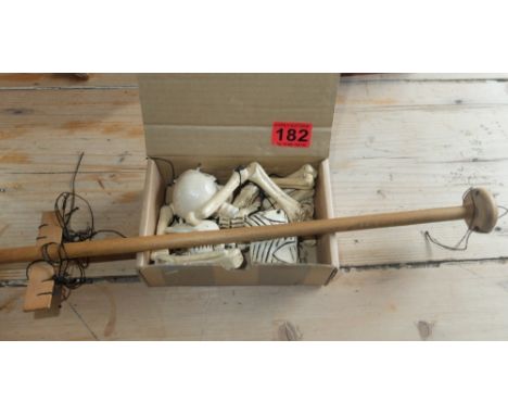 Pelham Puppet "The Skeleton"