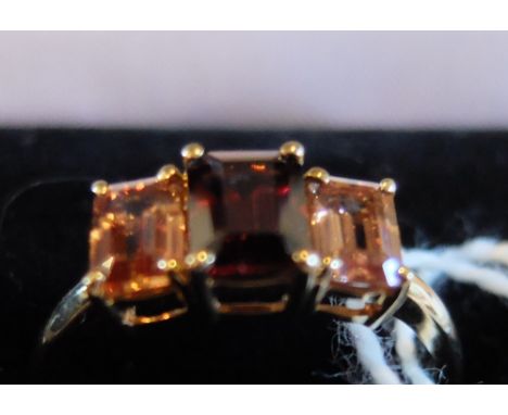 9ct Gold and Gem Set Ring.