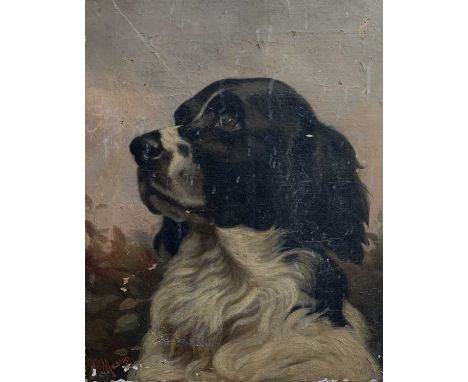 M. MASSON (Late 19th/Early 20th Century)Portrait of a SpanielOil on canvasSigned43 x 35.5cm 