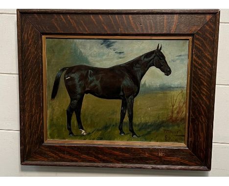 An oil on canvas of an equine portrait signed lower right E Paite with possibly the name of the horse above  (30cm x 23cm)